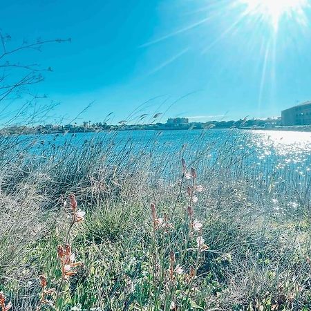 La Casita ,Appartement Face A L'Etang Le Barcarès Εξωτερικό φωτογραφία