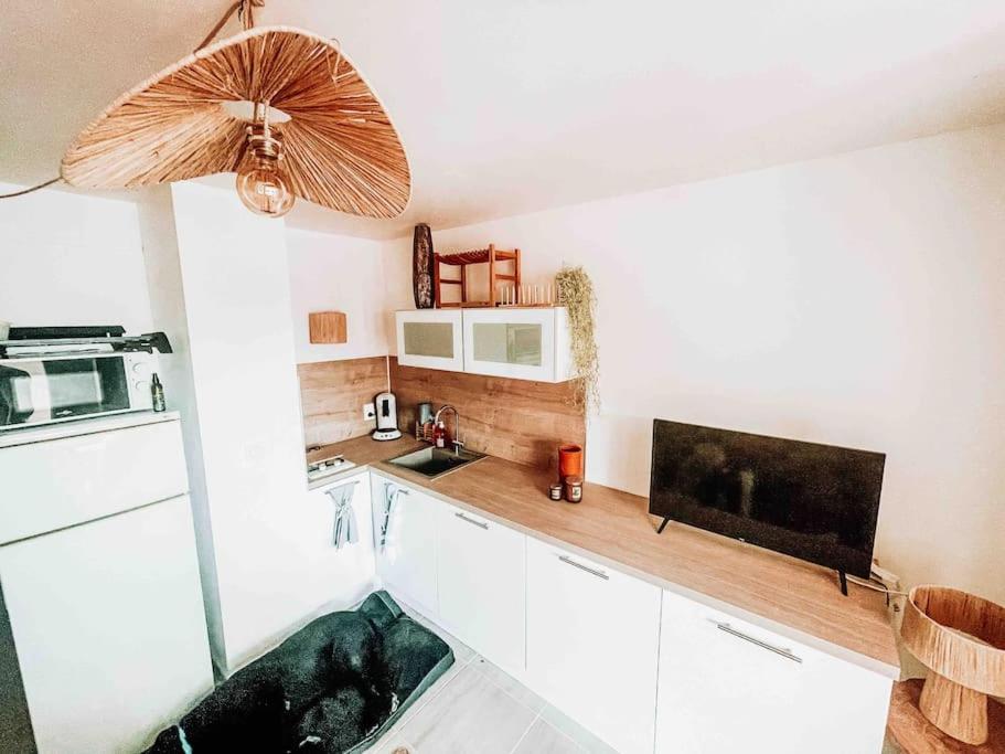 La Casita ,Appartement Face A L'Etang Le Barcarès Εξωτερικό φωτογραφία
