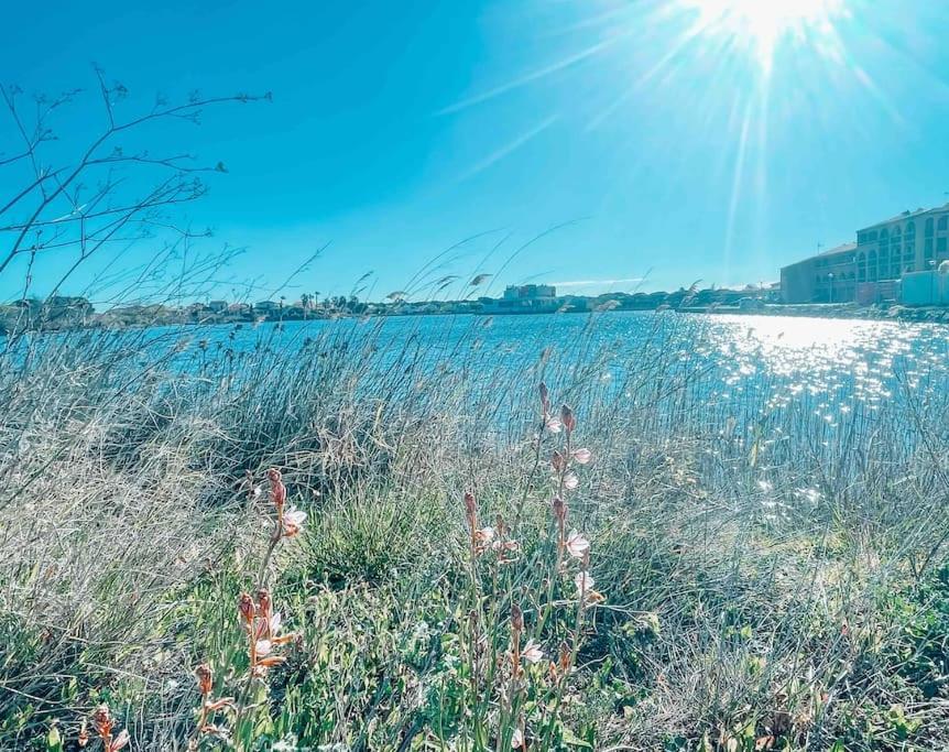 La Casita ,Appartement Face A L'Etang Le Barcarès Εξωτερικό φωτογραφία